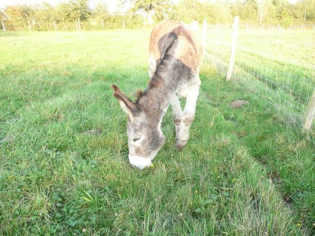 Balthazar et leonard Arrivee (27).jpg